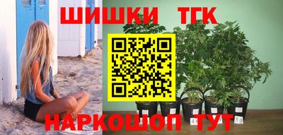 дурь Сланцы