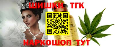 дурь Сланцы